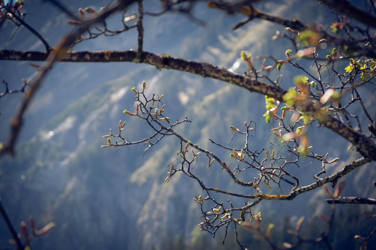Hotel Alpina Kandersteg Dış mekan fotoğraf